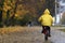 Child in yellow raincoat is driving along an alley in an autumn park. Boy rides bicycle in the rain. Back view