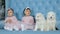 Childhood, cute twins with bows on head sit beside two white fluffy puppies on sofa