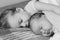 Childhood, infancy, family, sleep, rest, love concept - black white close up of two children, newborn baby and girl