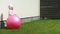 Childhood, leisure, game, yard, spring concept - three young children play in the yard with balls and a fitball on a