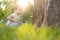 Childhood, nature, summer, parks and outdoors concept - portrait of cute blond-haired little boy in striped multi