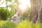 Childhood, nature, summer, parks and outdoors concept - portrait of cute blond-haired little boy in striped multi