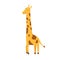Childish cub zoo animal portrait. Cute, funny, African giraffe. Scandinavian character for nursery. Design element for t