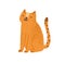 Childish cute cat in simple scandinavian style. Flat vector cartoon textured illustration of ginger kitty. Lovely kitten