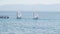 children aboard small sailing boats line up in the same direction during a competition