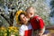 Children in apple orchard in bloom and dandelion field