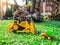 Children baby toys tractor and truck in the beautiful garden forest playground outdoor