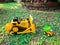 Children baby toys tractor and truck in the beautiful garden forest playground outdoor