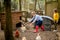 Children boy and girl in nature. Boys in the chicken coop collect eggs and catch chickens in the village in the summer