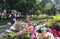 Children boys walk in the garden with flowers brothers in the summer in the park