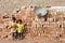 Children at the Brickfield in India