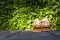 Children brown shoes on a floor with leaves background in sunny evening