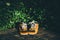 Children brown shoes on a floor with leaves background in sunny evening