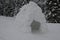 Children built a large igloo inuit by a forest of blocks of snow. it is a hemisphere of snow blocks on a slope at the spruce edge