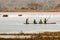 Children in a canoe