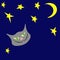 Children card cats head, moon, stars on dark blue background. Handdrawn funny kitty face in night sky, vector eps 10
