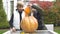 Children carving pumpkin jack-o-lantern, excited with process, happy emotions
