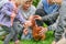 The children caught the chicken and hold it in their hands on the green grass