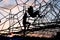 Children on climbing frame