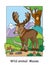 Children colorful moose vector illustration for coloring