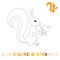 Children coloring page vector illustration, cute squirrel in monochrome and colour version for kids