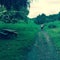 Children on dirt path, Maui, Hawaii