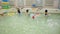 Children dive underwater in the pool. Swimming in the school pool.