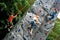 Children doing rockclimbing