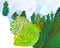 Children drawing - slope of hill in green forest