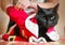 Children dress black cat in santa costume