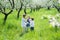 Children in embroidery in the garden