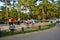 The Children enjoying in the Parking area of Elephant Falls.