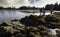 Children exploring at low tide while on vacation