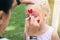 Children face painting. The artist draws a heart on the face of a child.