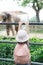 Children feed Asian elephants in tropical safari park during summer vacation. Kids watch animals