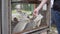 Children feed hungry rabbits in a cage in the summer at the zoo