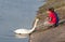 Children feeding swan