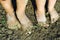 Children feet in the garden