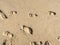 Children footprints on a sandy beach