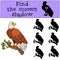 Children games: Find the correct shadow. Cute bald eagle sits on the tree branch.