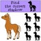 Children games: Find the correct shadow. Little cute foal.