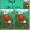 Children games: Find differences. Cute bald eagle sits on the tree branch.