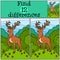 Children games: Find differences. Little cute deer.