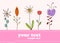 Children gift card flower background