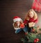 Children with gift under christmas tree