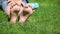 Children girl foot grass background hd footage