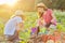 Children girls planting flowering pot plant in ground