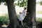 Children girls play in the summer park and climb trees