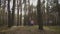 Children girls sisters walking by the pine forest