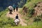 Children graze buffaloes